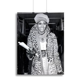 Tina Turner in leopard Canvas Print or Poster (Type: Standard Framed Canvas Print, size: 12" x 8" / 30cm x 20cm (approx))